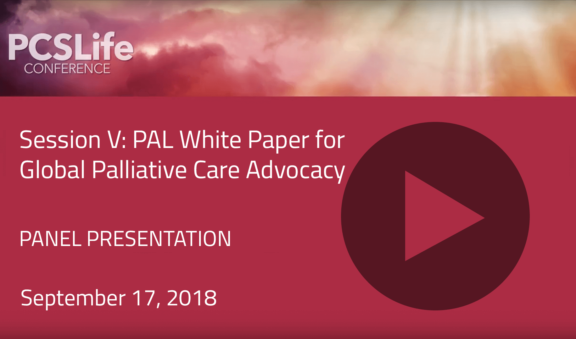 Session Five: PAL White Paper for Global Palliative Care Advocacy